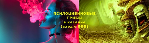 прущая мука Алзамай