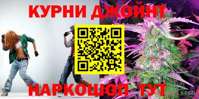 дмт Бийск