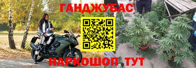 дмт Бийск