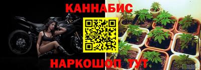 каннабис Беслан