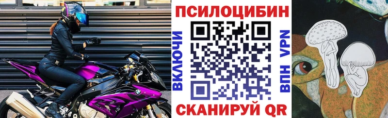 Псилоцибиновые грибы мухоморы  купить наркоту  Бийск 