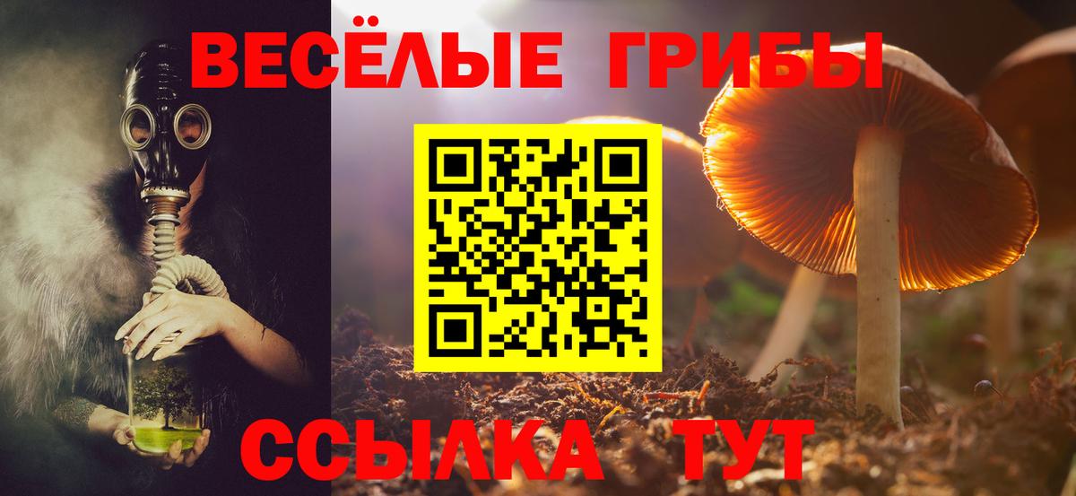 Меф МЯУ МЯУ кристаллы  Лсд 25  Кокаин  Марихуана  Меф  Вход с VPN  Бийск  НБОМе  ГАШ 