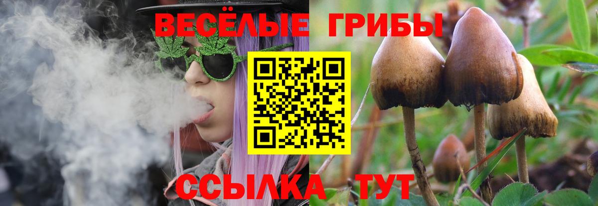 Псилоцибиновые грибы Magic Shrooms  Вход с VPN  Бийск 